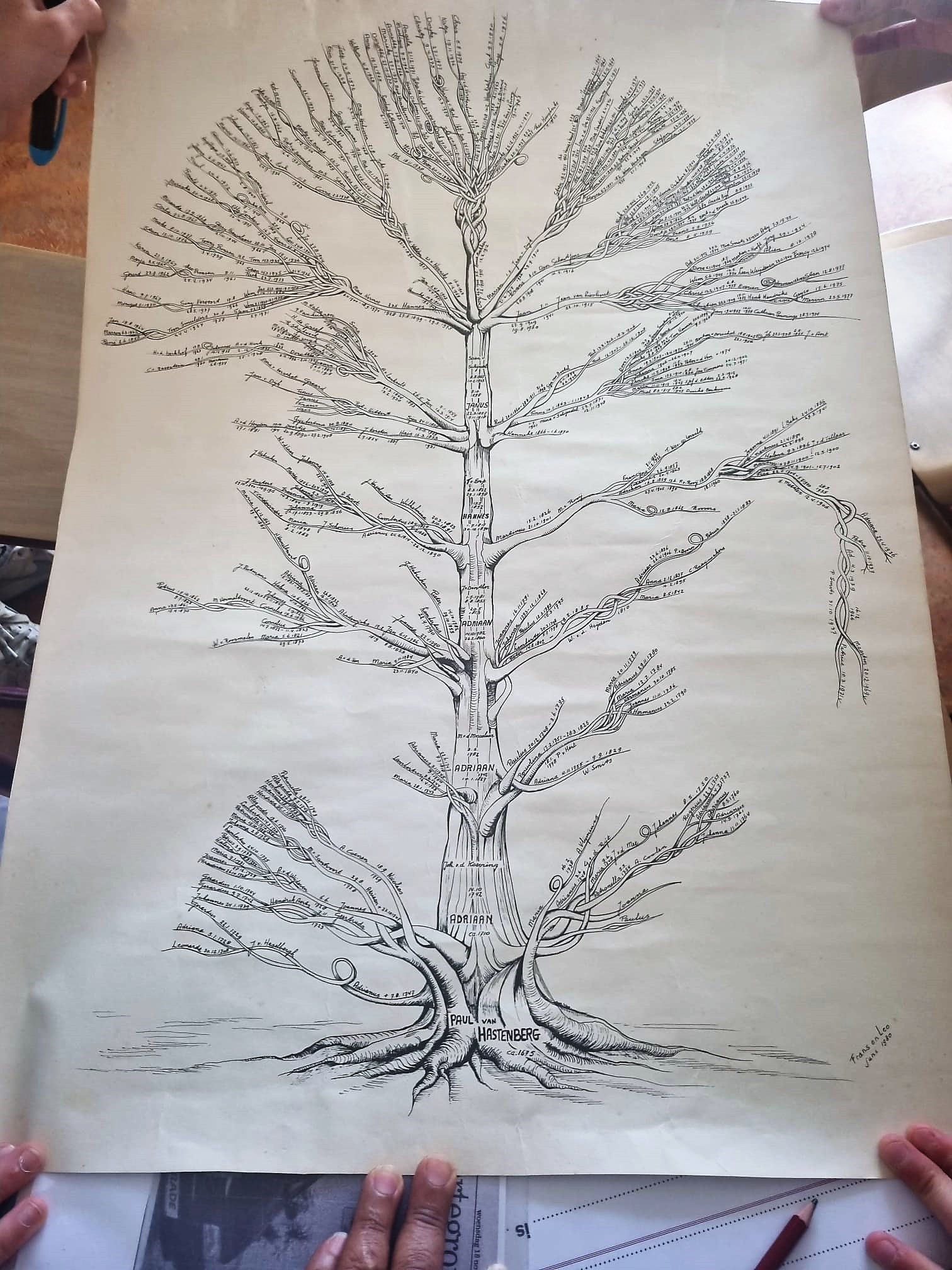 family artefacts - a large family tree